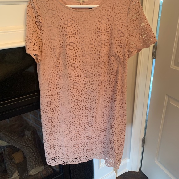 ann taylor pink lace dress Ann Taylor Leaf Lace Shift Dress In Electric Pink